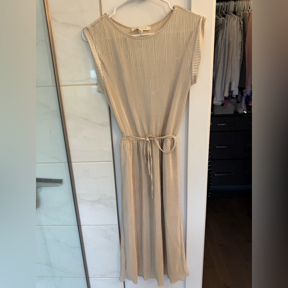 Monteau Metallic Beige Striped Dress